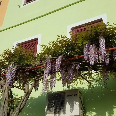 Apartment Judit *